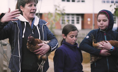 Hühner in Schulen halten | Wie es funktioniert 