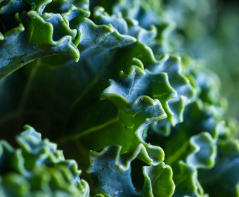 Calcium in pflanzenbasierter Ernährung | Vegane Calciumquellen