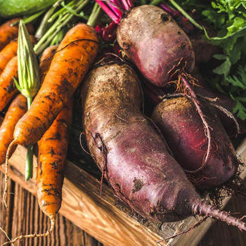 Wie das Kleinschneiden von deinem Gemüse den Nährstoffgehalt verändert