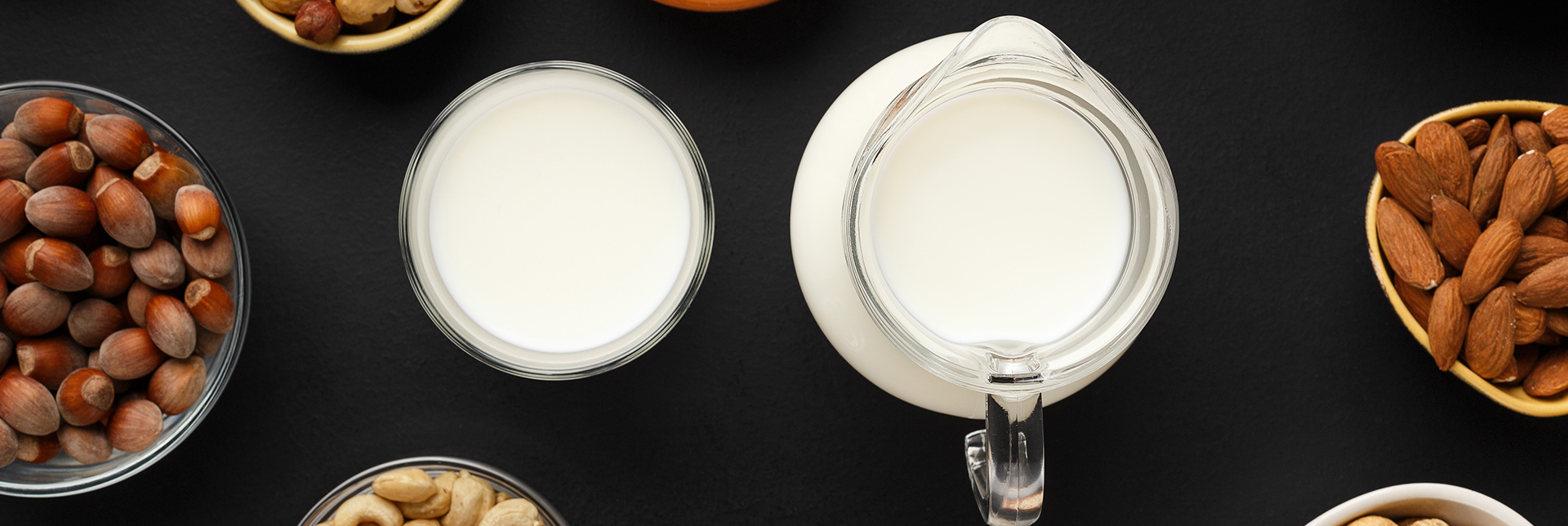 Pflanzliche Alternativen zu Milch: 5 Ernährungstatsachen