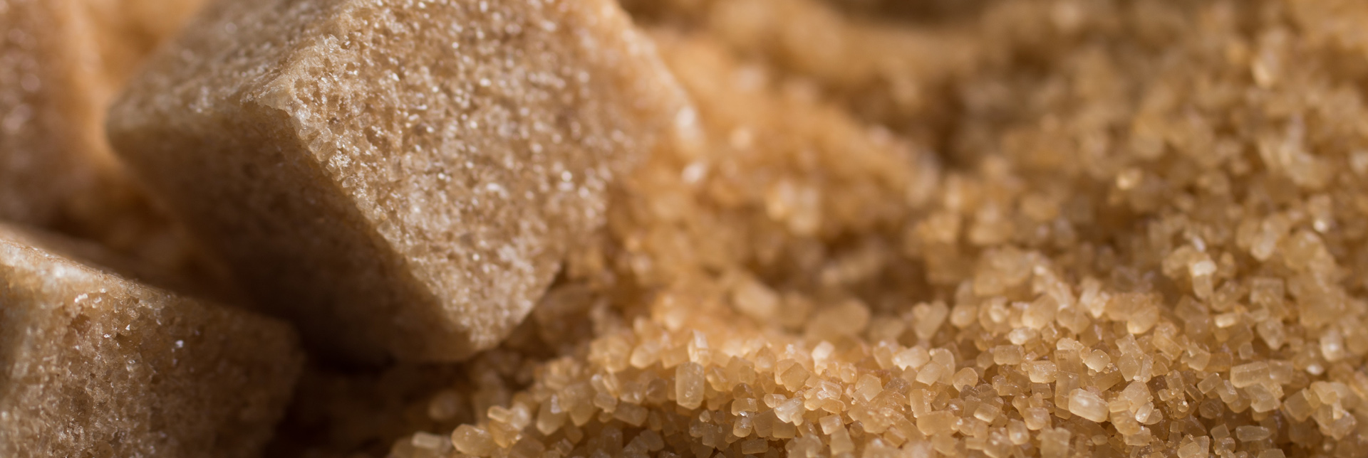 Wie wird eigentlich Zucker hergestellt?