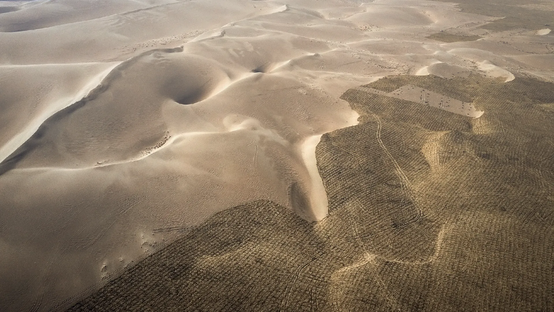 La Desertificación: El círculo vicioso entre la degradación del suelo y el cambio climático