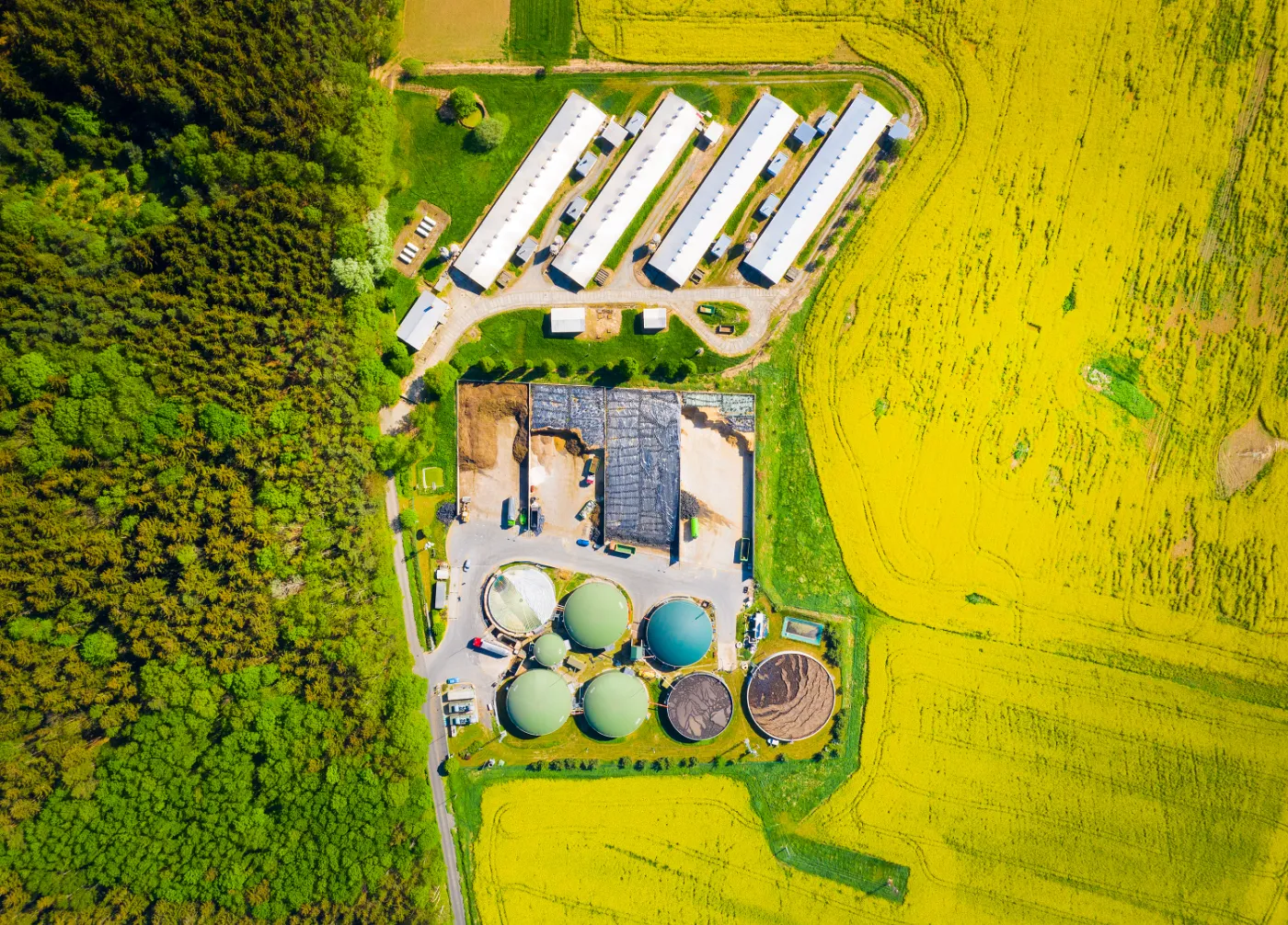 Una fábrica de biogás y granja