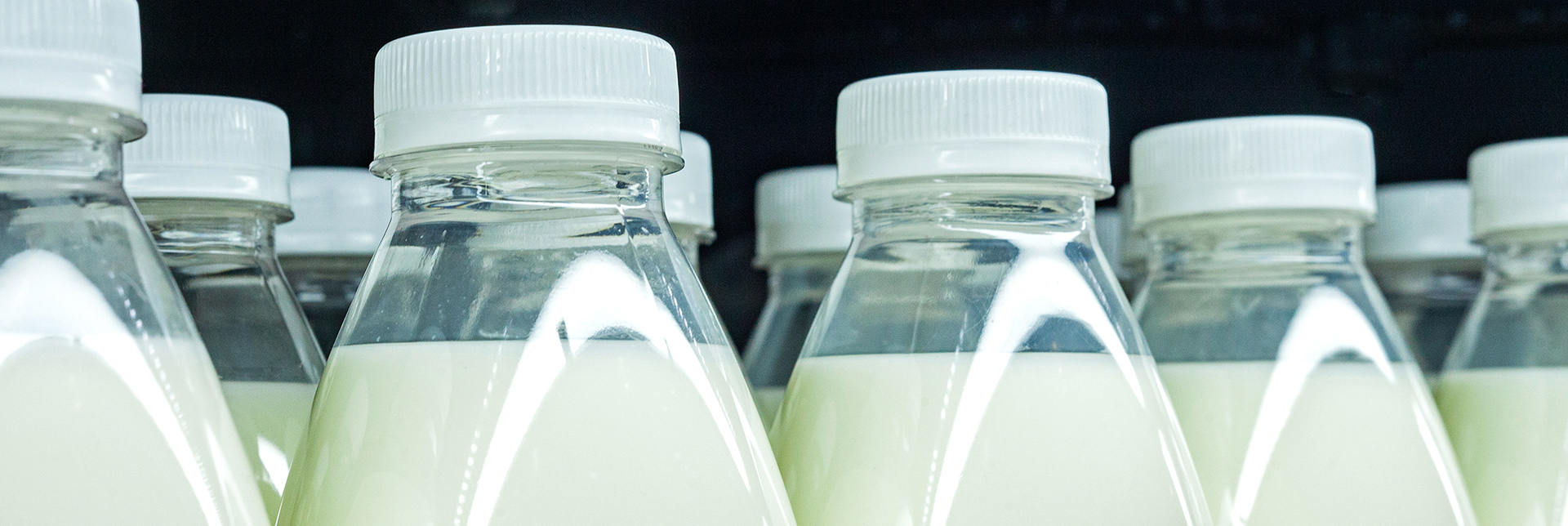 Producción de la leche | ¿Qué es lo que realmente marca el precio de la leche?