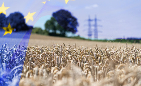 La política agrícola común de la Unión Europea | 4 cosas que debes saber sobre las ayudas a la renta agraria