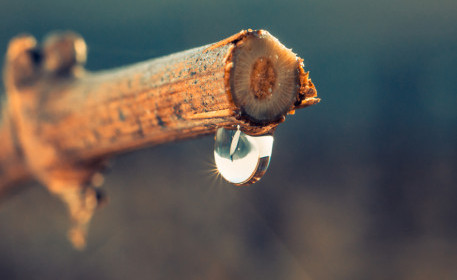 6 consejos para reducir la huella hídrica en tu alimentación