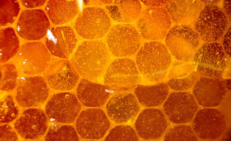 Utilizando la miel como medicina natural