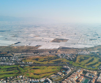 Los impactos medioambientales de la agricultura de invernadero en Almería, España