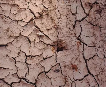 Escasez de agua | 6 formas de reducir el consumo de agua en la agricultura