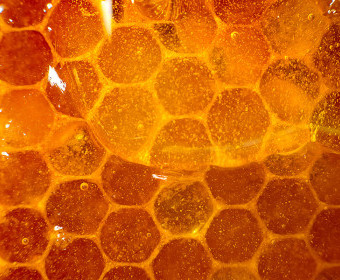 Utilizando la miel como medicina natural