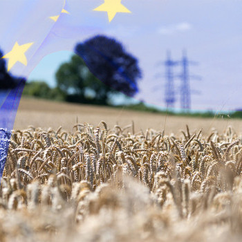 La política agrícola común de la Unión Europea | 4 cosas que debes saber sobre las ayudas a la renta agraria