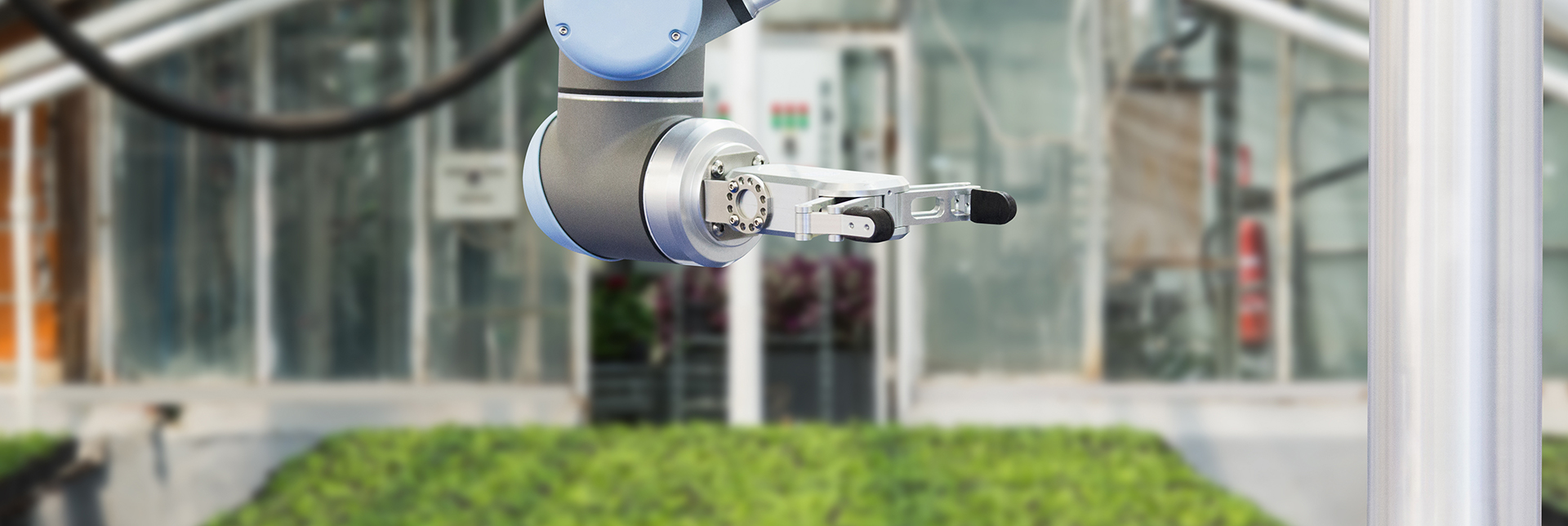 La robótica en la agricultura | ¿Qué robots trabajan realmente en las tareas agrícolas?