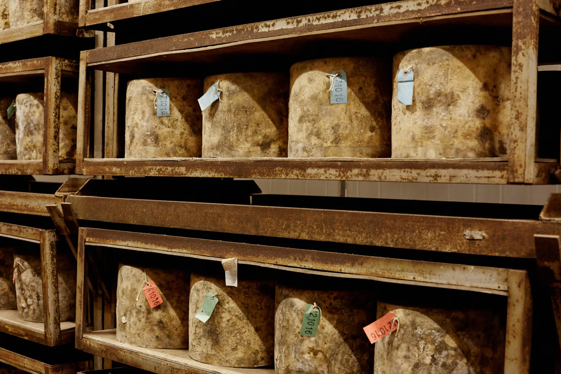 Cheddar Reborn: The Revival of an Artisan Cheese Industry
