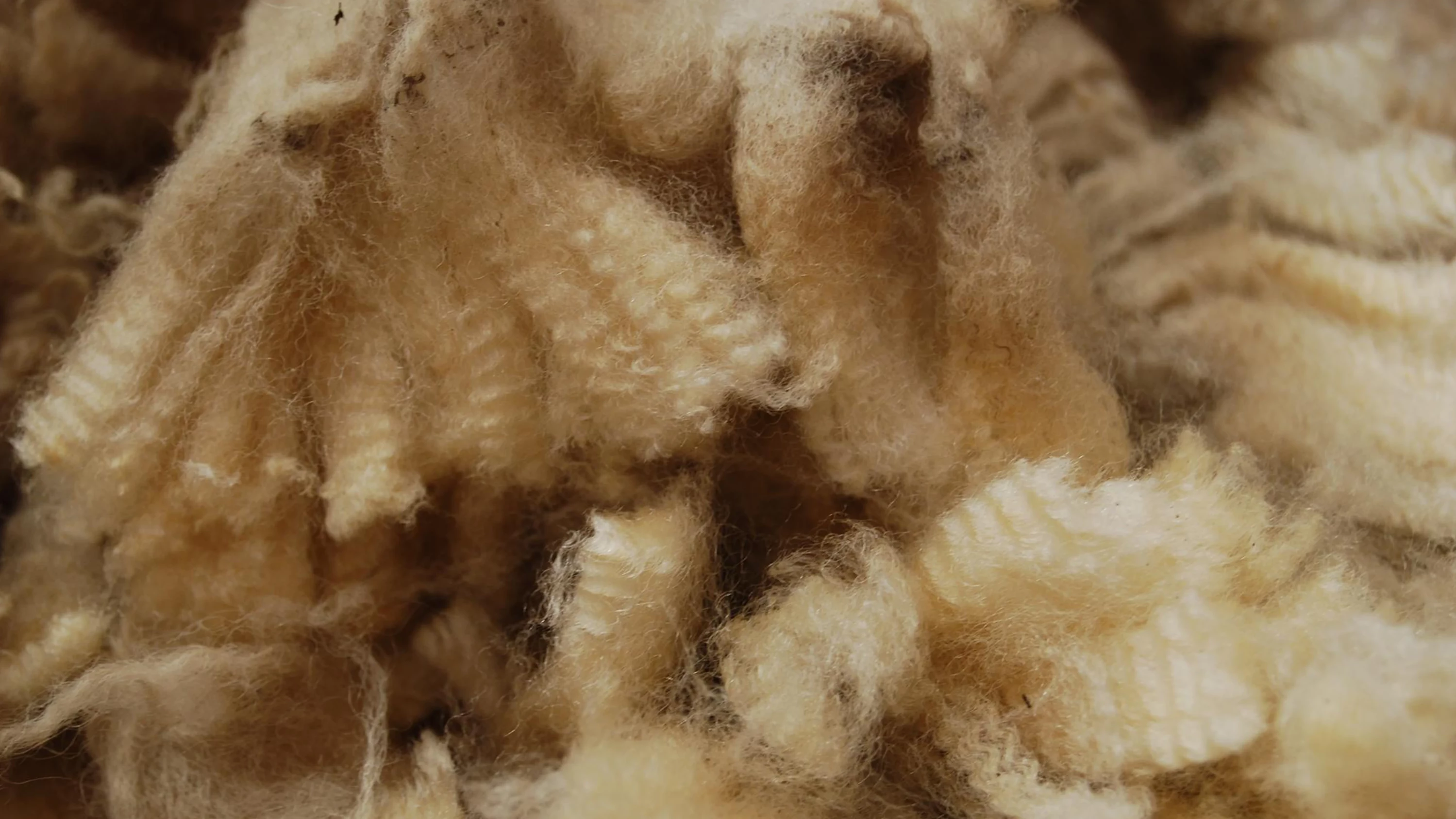 How it's Made: WOOL