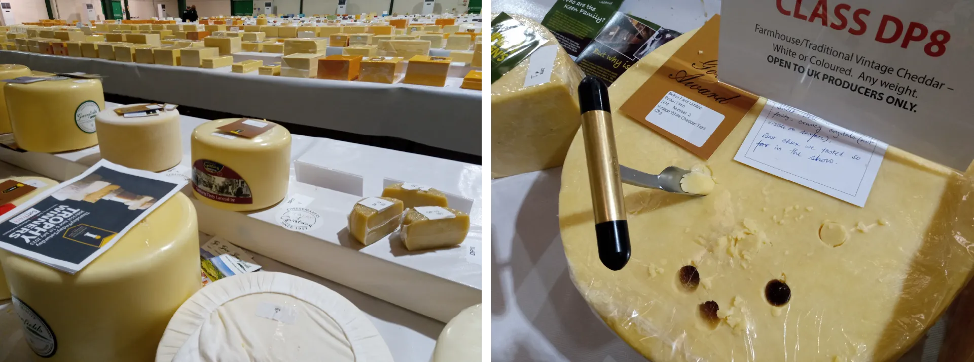 Some of the four thousand entries at the 2023 International Cheese and Dairy Awards. Credit: Caroline Wood
