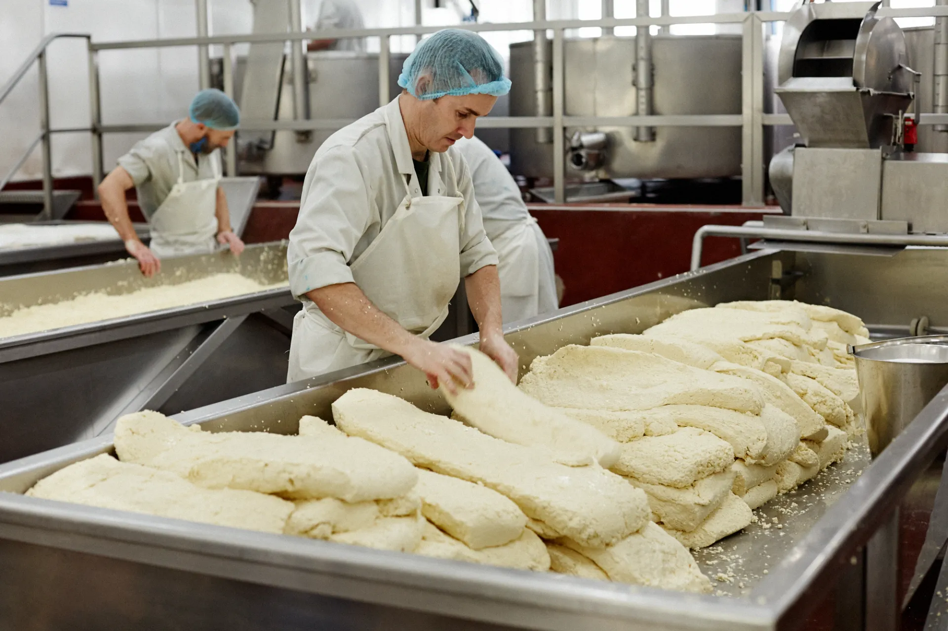 ‘Cheddaring’ – stacking and flipping blocks of curd – is done by hand at artisan producers such as Quicke’s. Credit: Matt Austin.