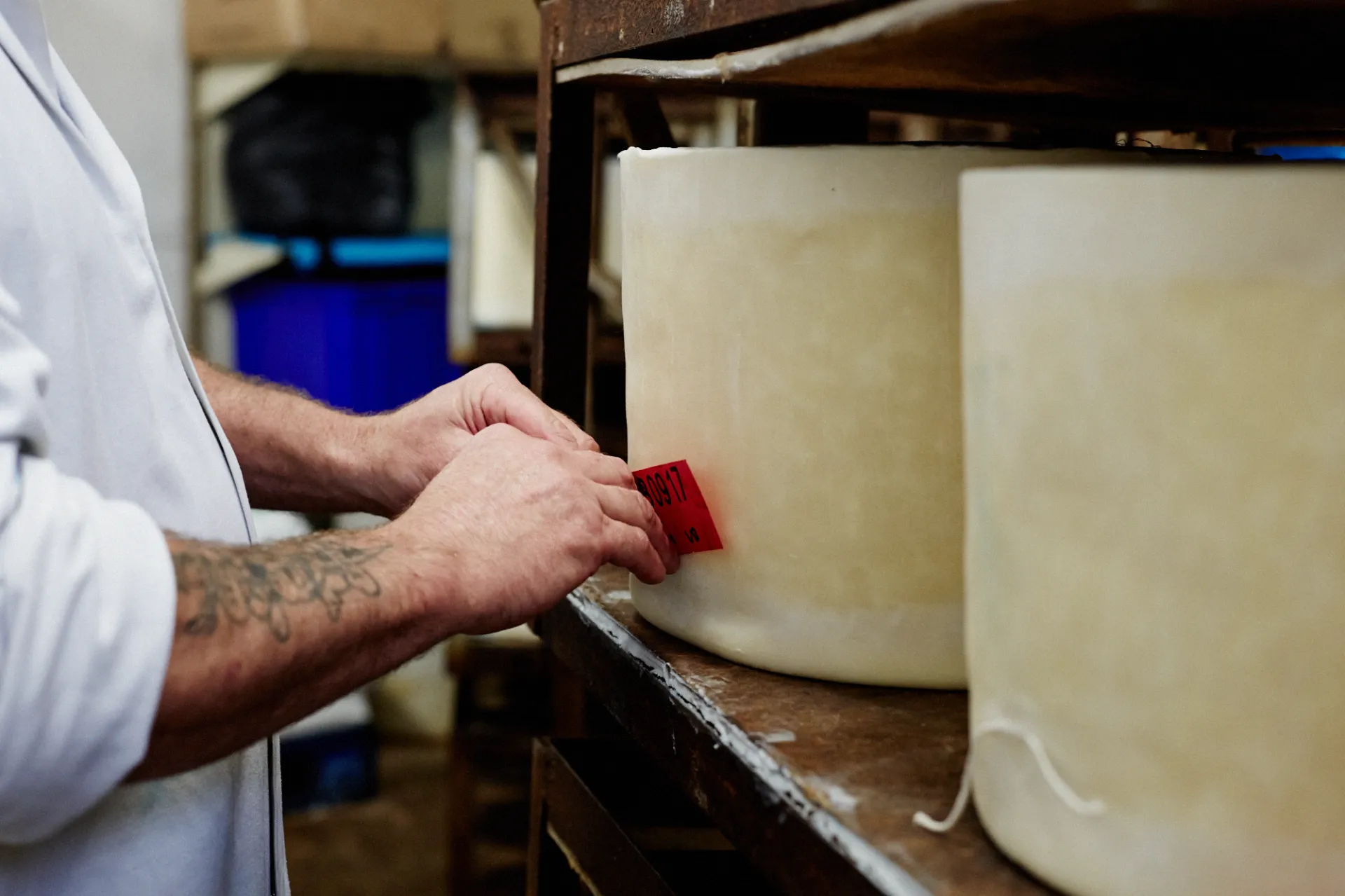Applying a tracing tag to a wheel of cheddar at Quicke’s. Credit: Matt Austin.