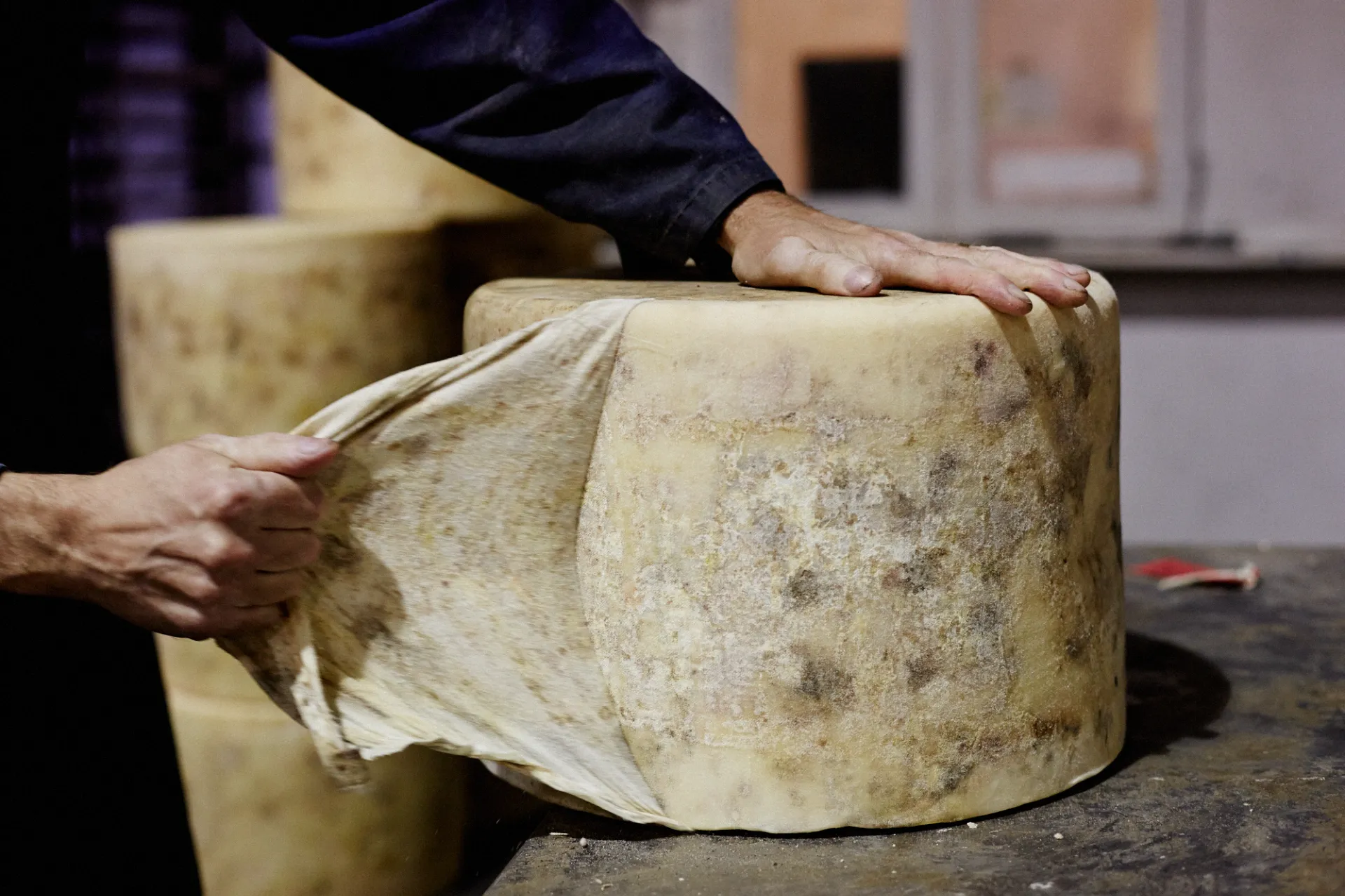 Traditional clothbound cheddar is wrapped in layers of muslin, not plastic. Credit: Matt Austin.