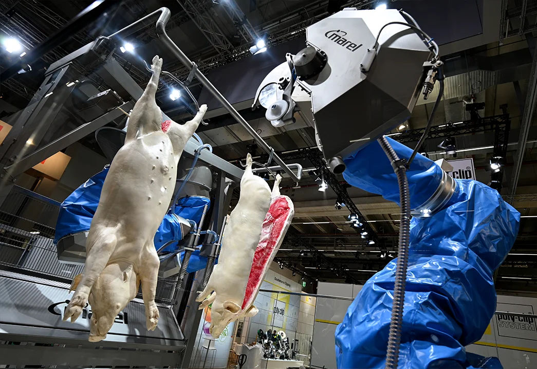Icelandic company Marel presents a robot for cutting slaughtered animals at a meat industry trade fair in Frankfurt, 2022. (Photo: Arne Dedert/dpa (Photo by Arne Dedert/picture alliance via Getty Images)