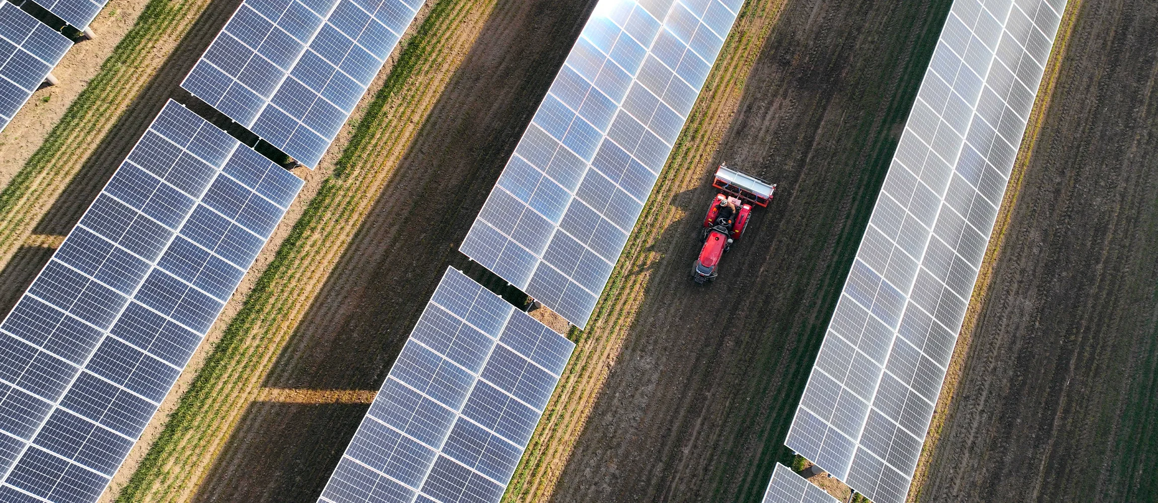Farming under panels can be difficult where large machinery is needed. Here, a farmer fertilises a wheat field under a photovoltaic panel in Liaocheng, China. (Photo by Zhang Zhenxiang/VCG via Getty Images)