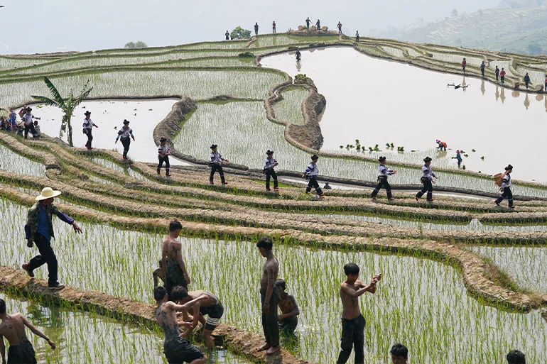 As early as some 1,300 years ago, the Hani people developed a complex system to bring water from the mountaintops to the rice terraces. Now they sing and dance to celebrate the 