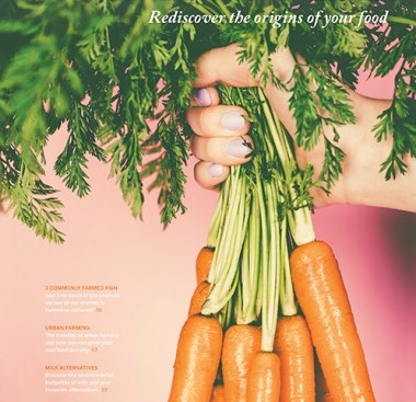 The FoodUnfolded Magazine (#001)