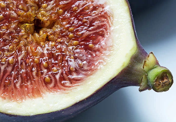 Produktion Migration alkove Figs & Wasps | How Are Figs Pollinated?