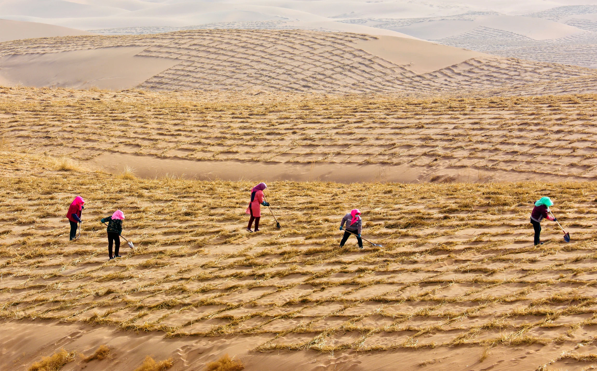 Encroaching deserts are destroying farmland in Zhangye City, China. Residents press sand barriers with wheat straw to hold off desert expansion. (Costfoto/Future Publishing via Getty Images)