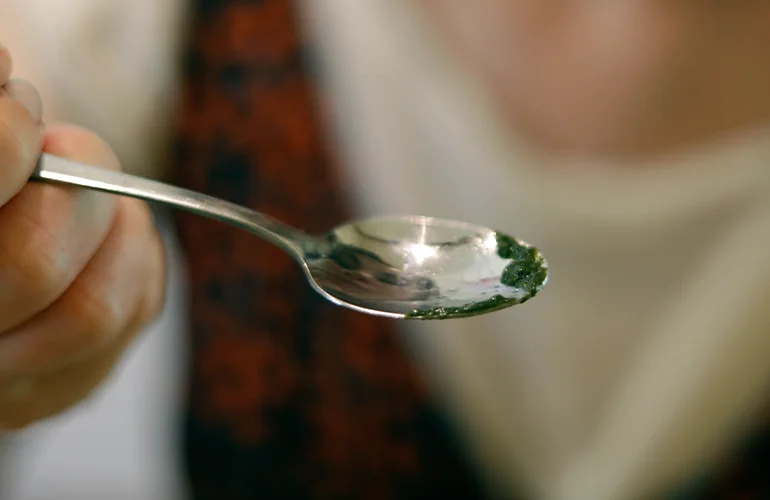  A teaspoon of Spirulina. (Photo by the author)