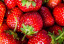 category-image-strawberries.jpg