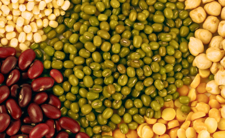 The Power of Pulses | Agriculture in Sub-Saharan Africa