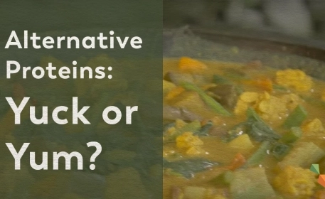 Alternative Proteins: What Are We Ready For?