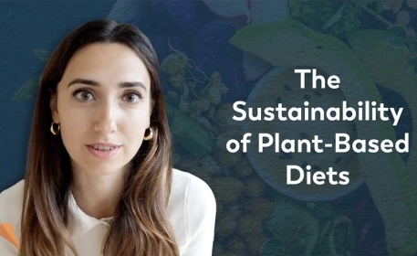 Are Plant Based Diets Really More Sustainable? 