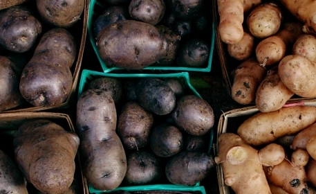 How Potatoes Shape Our Past, Present, and Future
