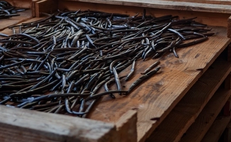 Vanilla Beans: The Cost of Production