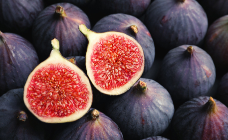 Figs & Wasps | How are Figs Pollinated?