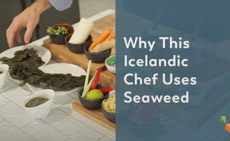Seaweed Soup | Cooking With Icelandic Forest Kelp