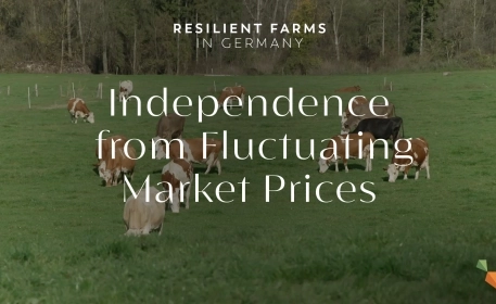 A Self-Sufficient Hay Milk Farm | Resilient Farms in Germany