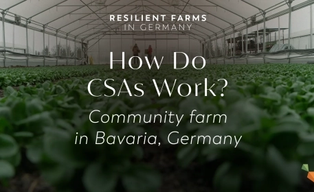 How Community Supported Agriculture Works In Practice | Resilient Farms in Germany