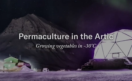 Farming In The Arctic | Growing Vegetables In Freezing Temperatures