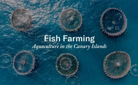 Fish Farming: Aquaculture in the Canary Islands