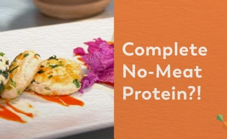 Mycoprotein: Protein Made Out Of Fungi | Sustainable Alternative Proteins