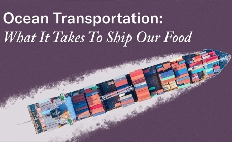 Ocean Transportation: How Container Shipping Works