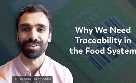 Food Traceability: A More Transparent Food System