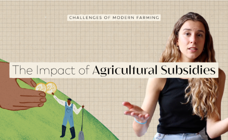 The Impact Of Subsidies On Food Production | FoodUnfolded Explains