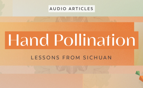 Hand Pollination: Lessons From Sichuan | FoodUnfolded AudioArticle