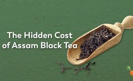 The True Cost Of Assam Black Tea