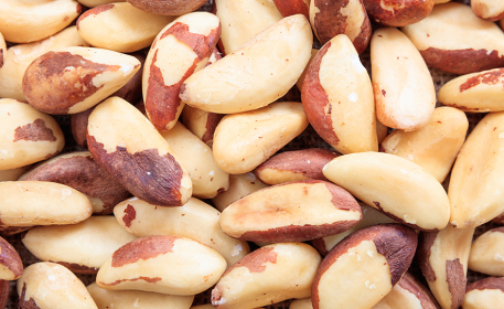 The Brazil Nut | How It’s Grown