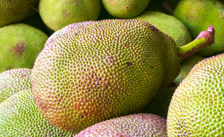 Where Does Jackfruit Come From and How Is It Grown? 