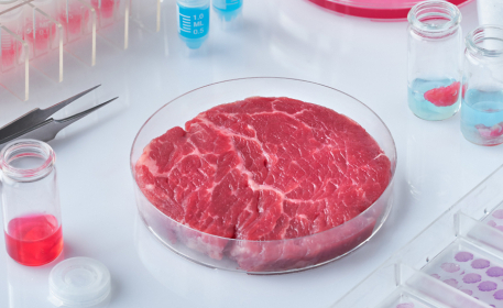 Cultured Meat: Better Than The Real Thing? 